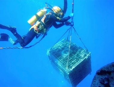 Eνα μυστικό αιώνων: Δείτε πώς ο οινοπαραγωγός παλαιώνει το κρασί του